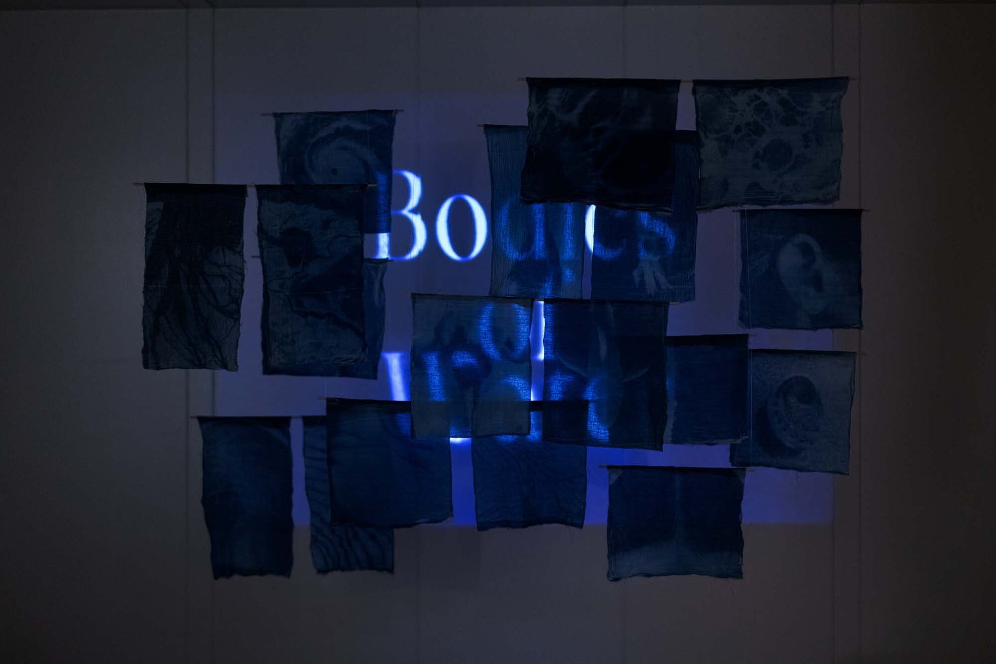 Layered cyanotype installation showing humans and aquatic life in the dark with the title, Bodies of Water, projected in the background.