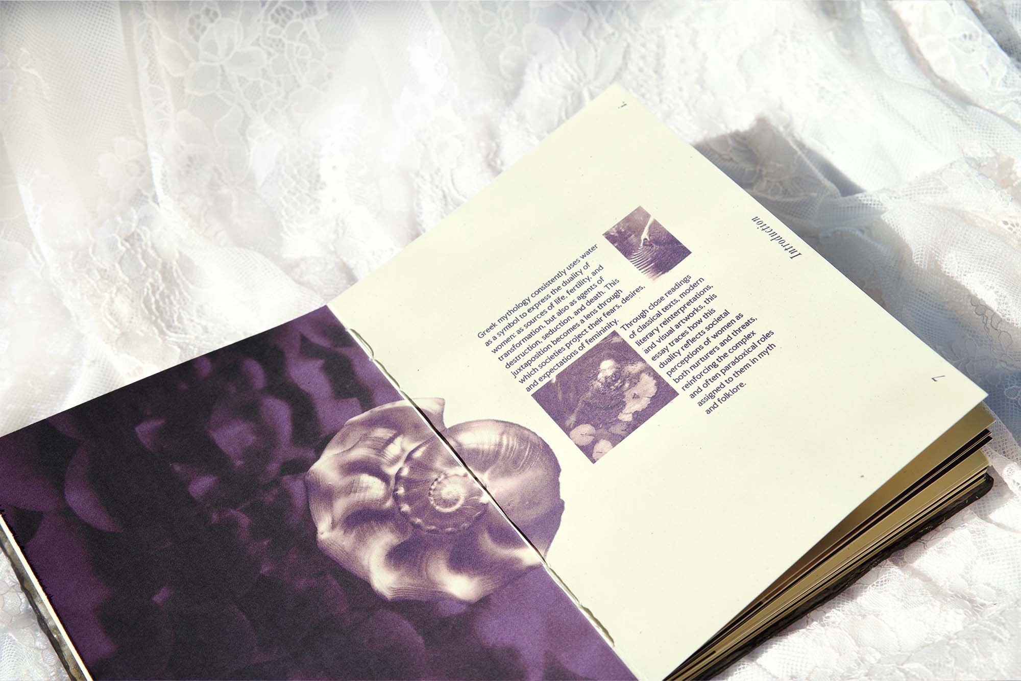 Book's introduction